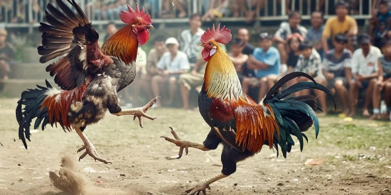 Những kinh nghiệm đặt cược mang về chiến thắng