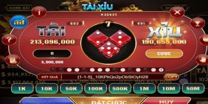 tai xiu la gi dai dien